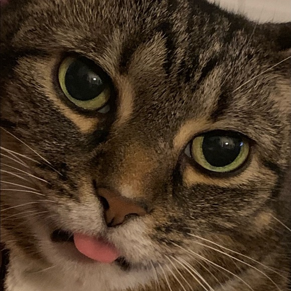 Meet your Posher, Karen - Picture 2 of 6